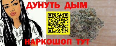 прущие грибы Будённовск