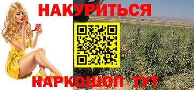 крисы Тверь
