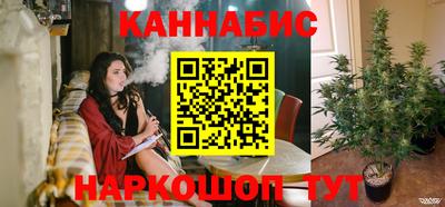 прущие грибы Будённовск