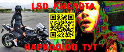 прущие грибы Будённовск