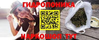 прущие грибы Будённовск