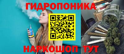 прущие грибы Будённовск