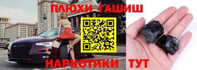 прущие грибы Будённовск