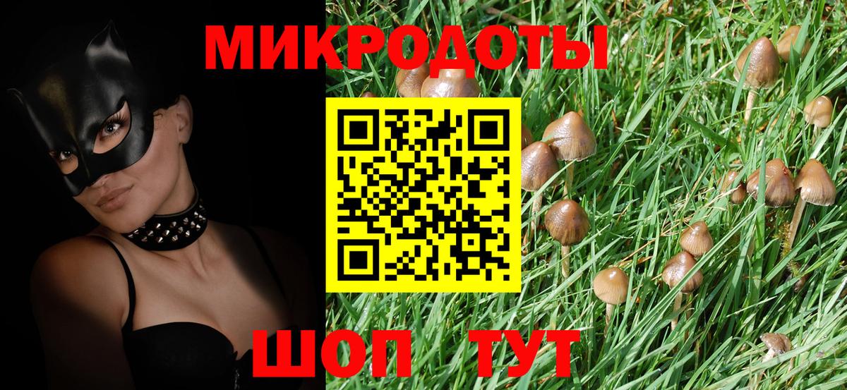Майкоп  Псилоцибиновые грибы Psilocybine cubensis  Псилоцибиновые грибы мухоморы  Вход с VPN 
