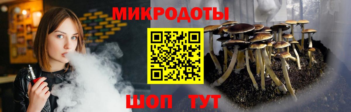 Псилоцибиновые грибы мухоморы Майкоп